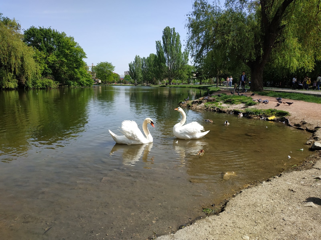 Экскурсии из Николаевки в Симферополь фото 